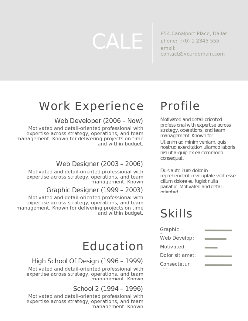 Shades of Gray CV – Vorschau